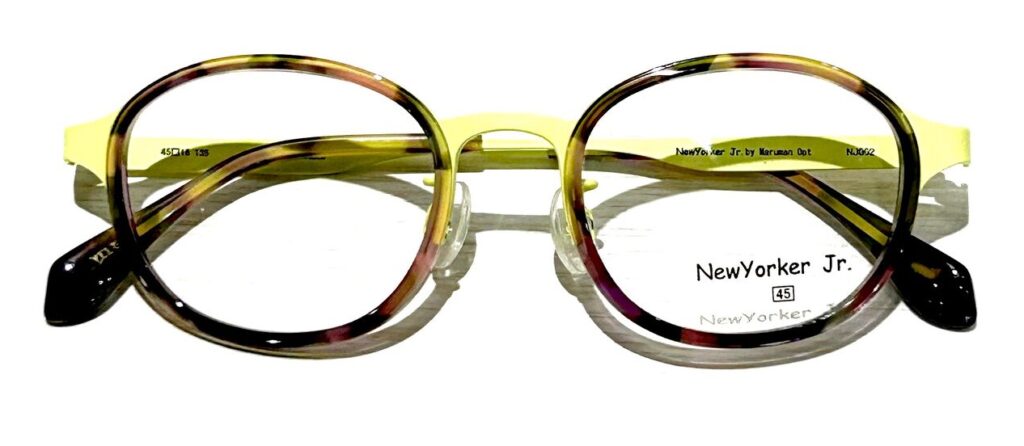 現在の画像に代替テキストがありません。ファイル名: IMG_1636-e1763438238860.jpg