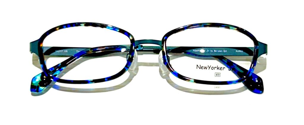 現在の画像に代替テキストがありません。ファイル名: IMG_1637-e1763437755176.jpg