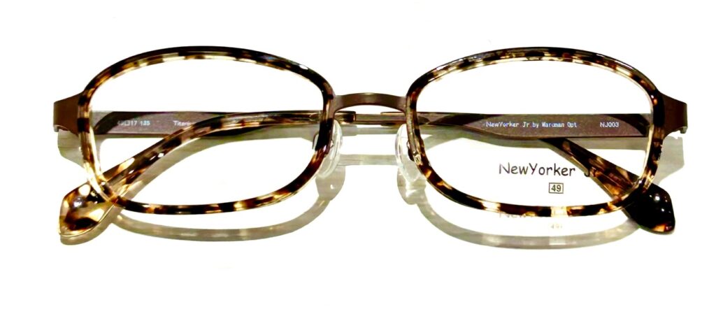 現在の画像に代替テキストがありません。ファイル名: IMG_1638-1-e1763438101781.jpg