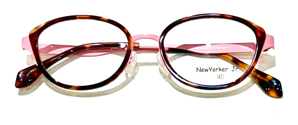 現在の画像に代替テキストがありません。ファイル名: IMG_1656-e1763451523646.jpg