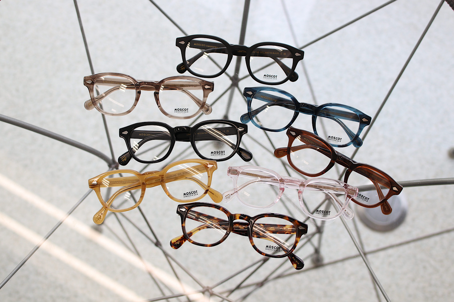 MOSCOT フェア開催中